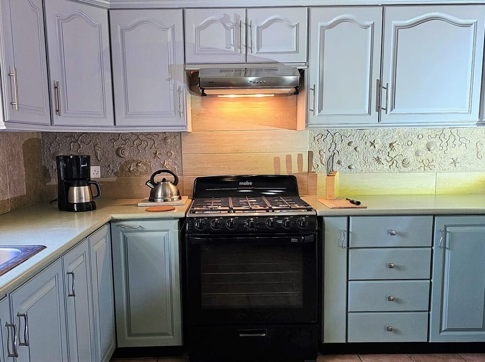 Beautiful seashore coloured kitchen with hand crafted back splash.