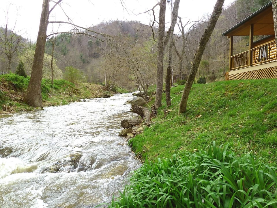 Spring Creek Trout Waters