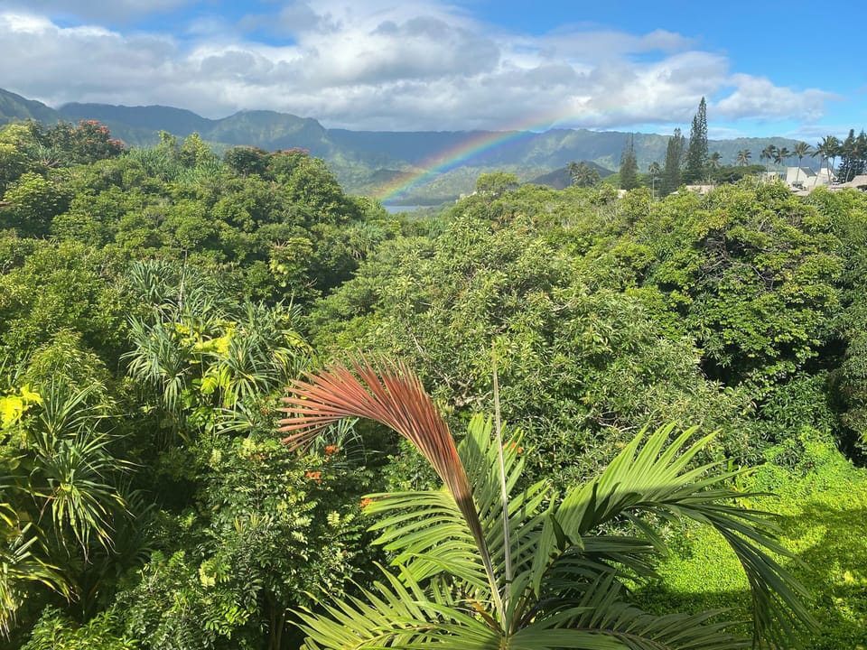 Rainbow from upstairs lanai