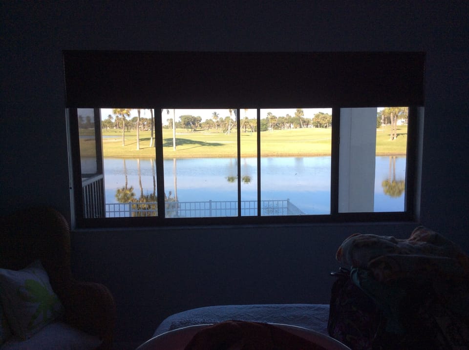 View from the bedroom