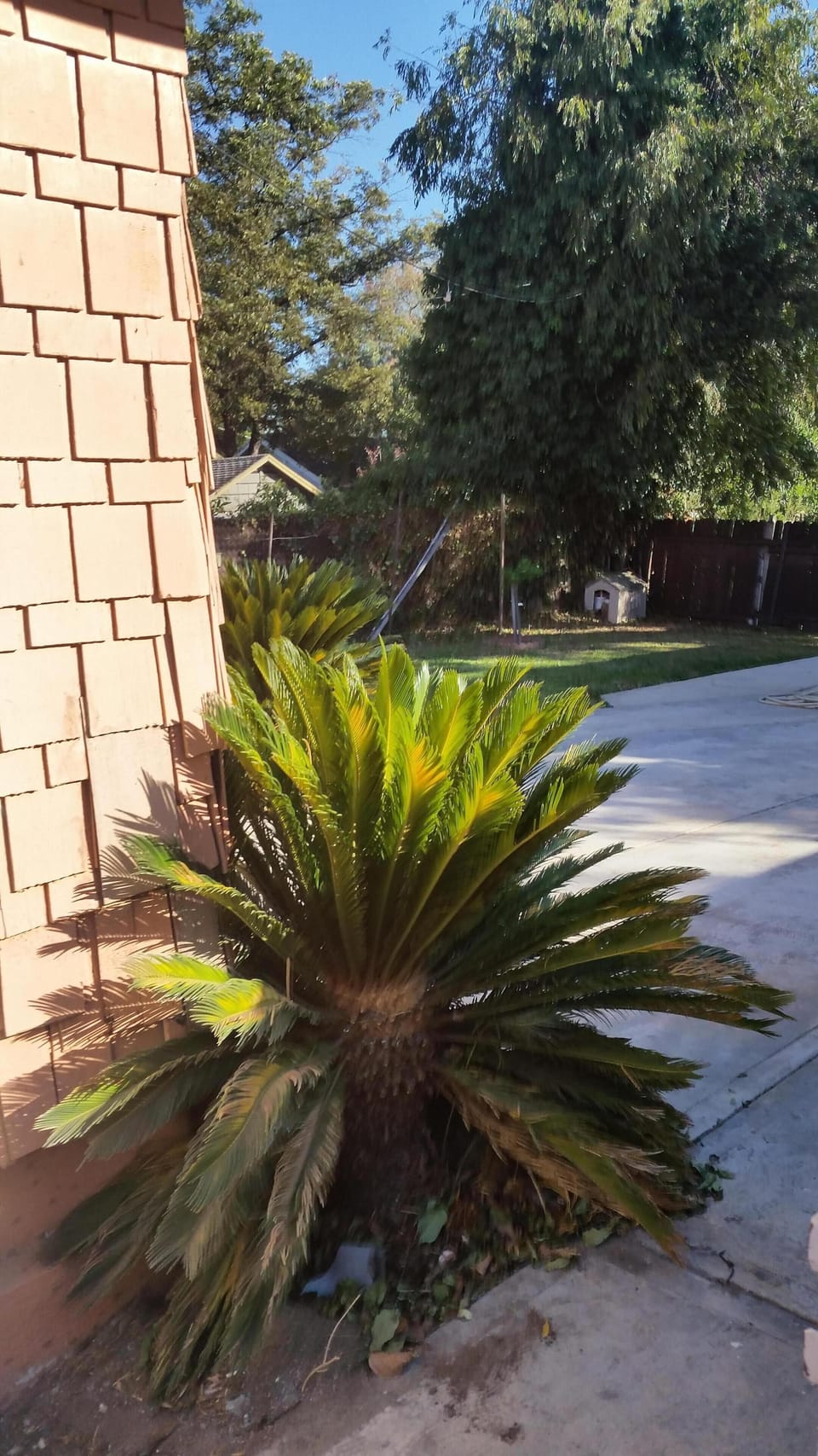 Property grounds