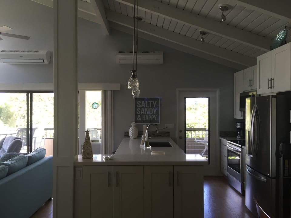View into Kitchen and Living room from entry.