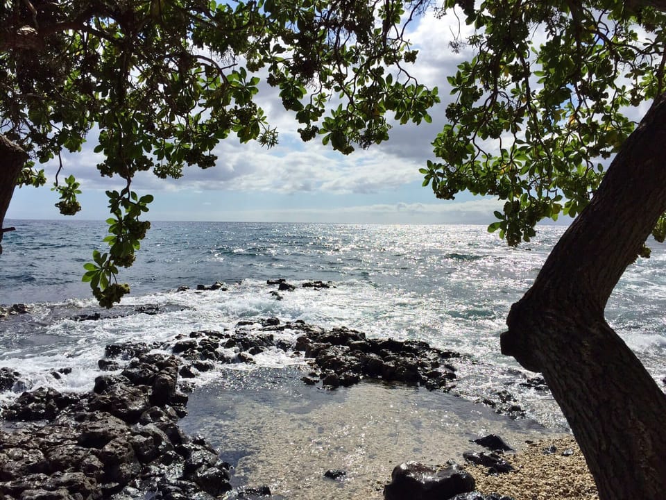 Ulua beach is about1/2 mile from condo and is on the famous Wailea Beach Walk