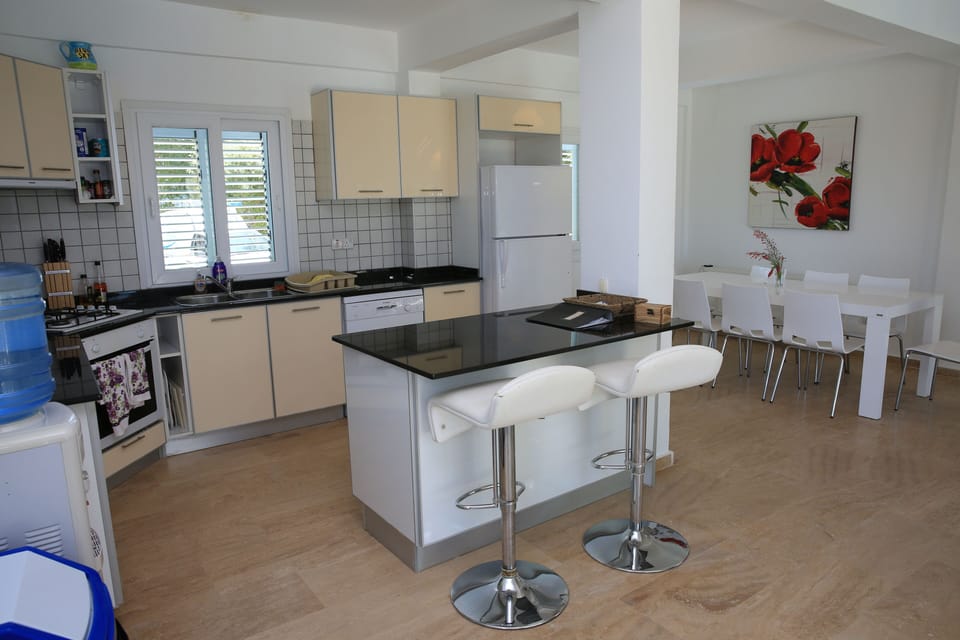 Dining Room and Kitchen Area