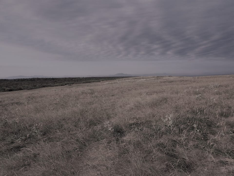 Miscellaneous