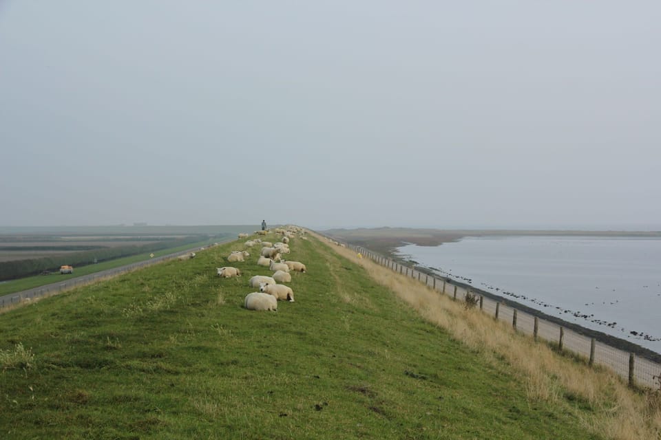 Surroundings [summer] (1-5 km)