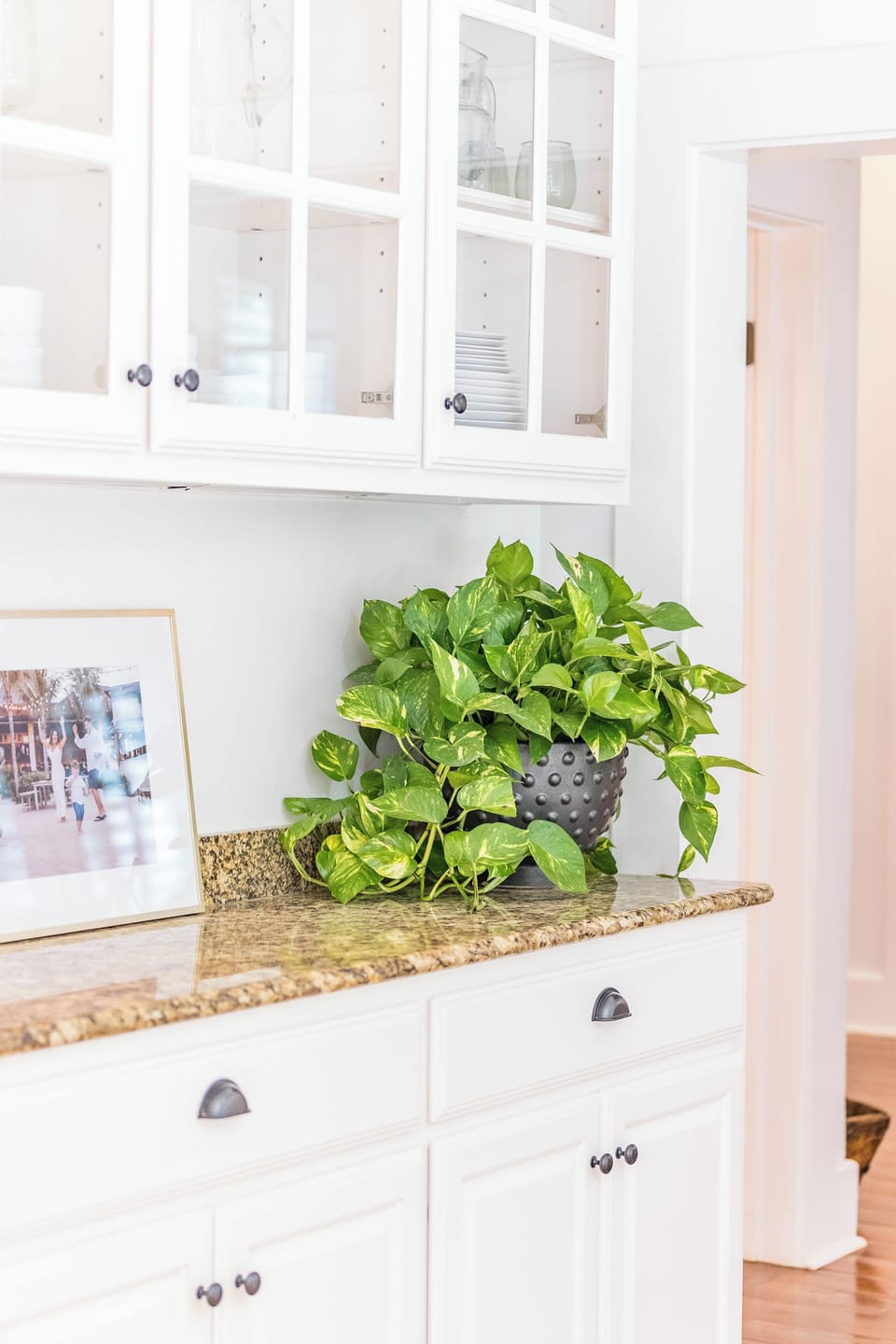 China buffet in kitchen