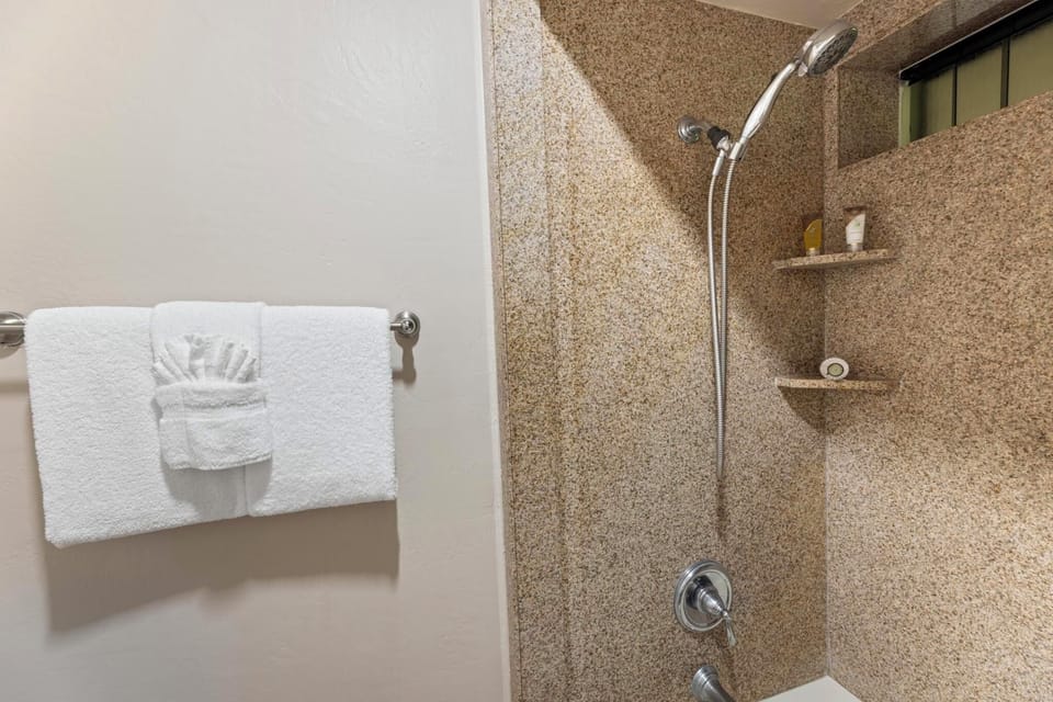 Handheld shower head, providing flexibility and convenience for a refreshing shower experience. Perfect for guests of all ages.