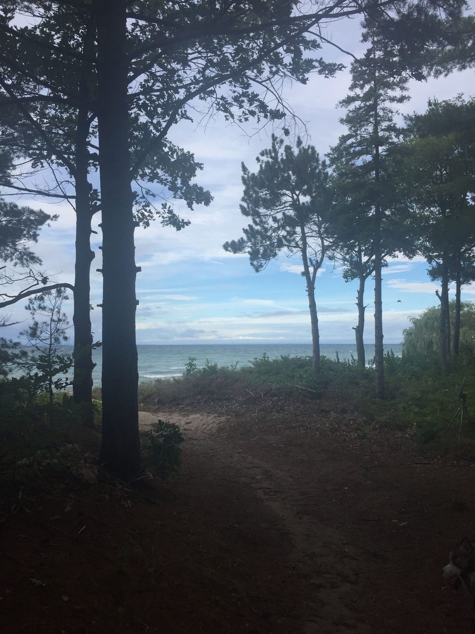 Path to the beach