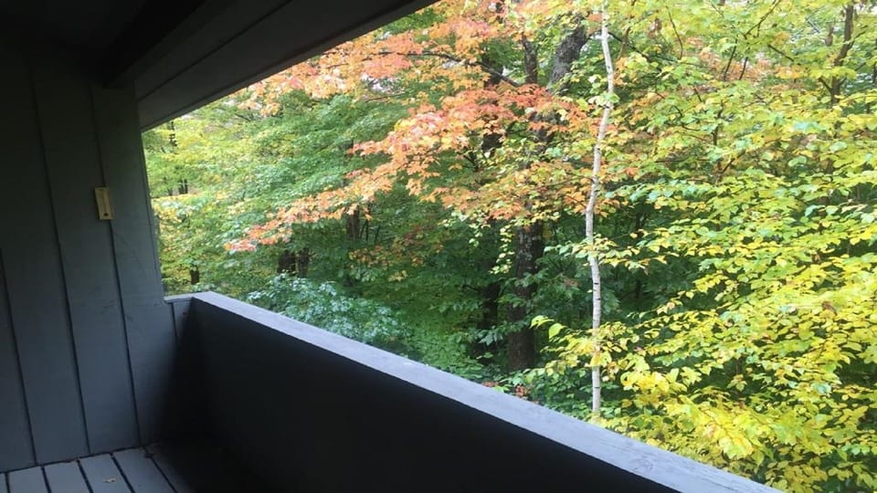 Balcony view 1
