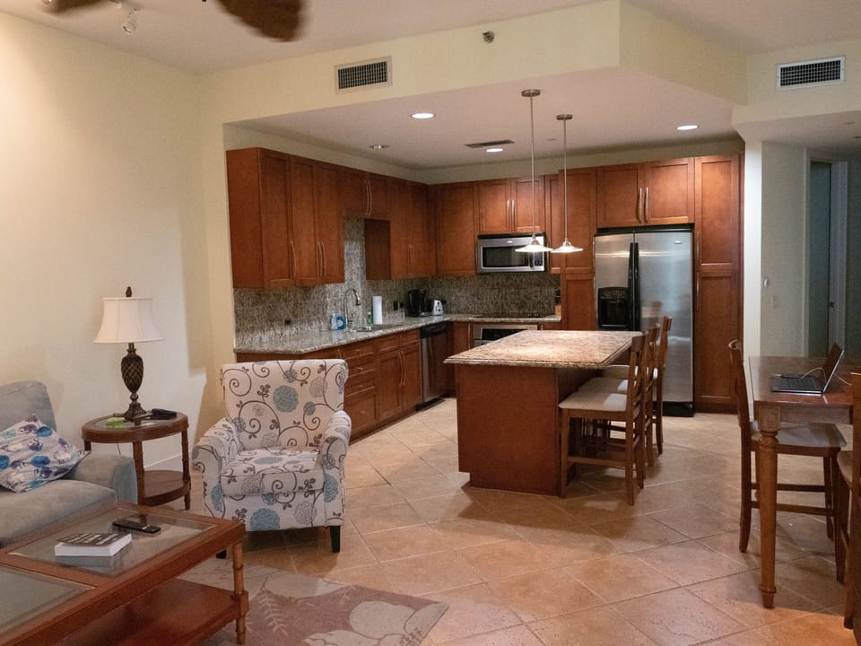 Spacious and luxurious living area and kitchen