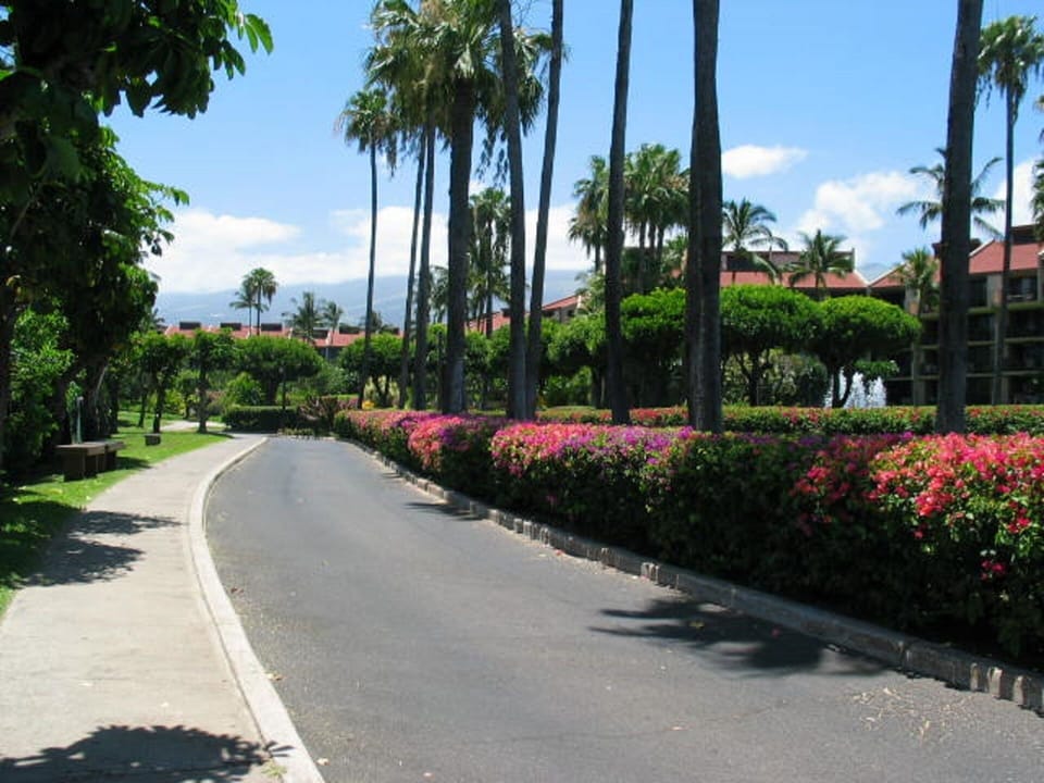 Driveway into resort