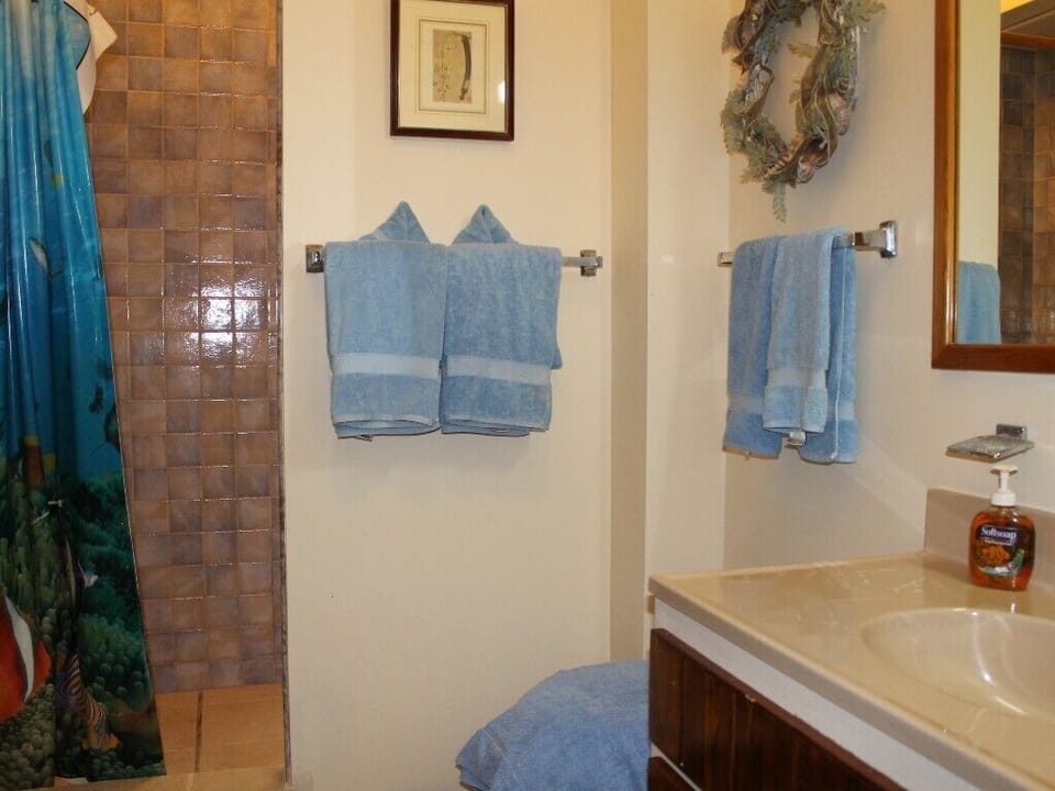 This is the first master suite bath with walk in shower.
