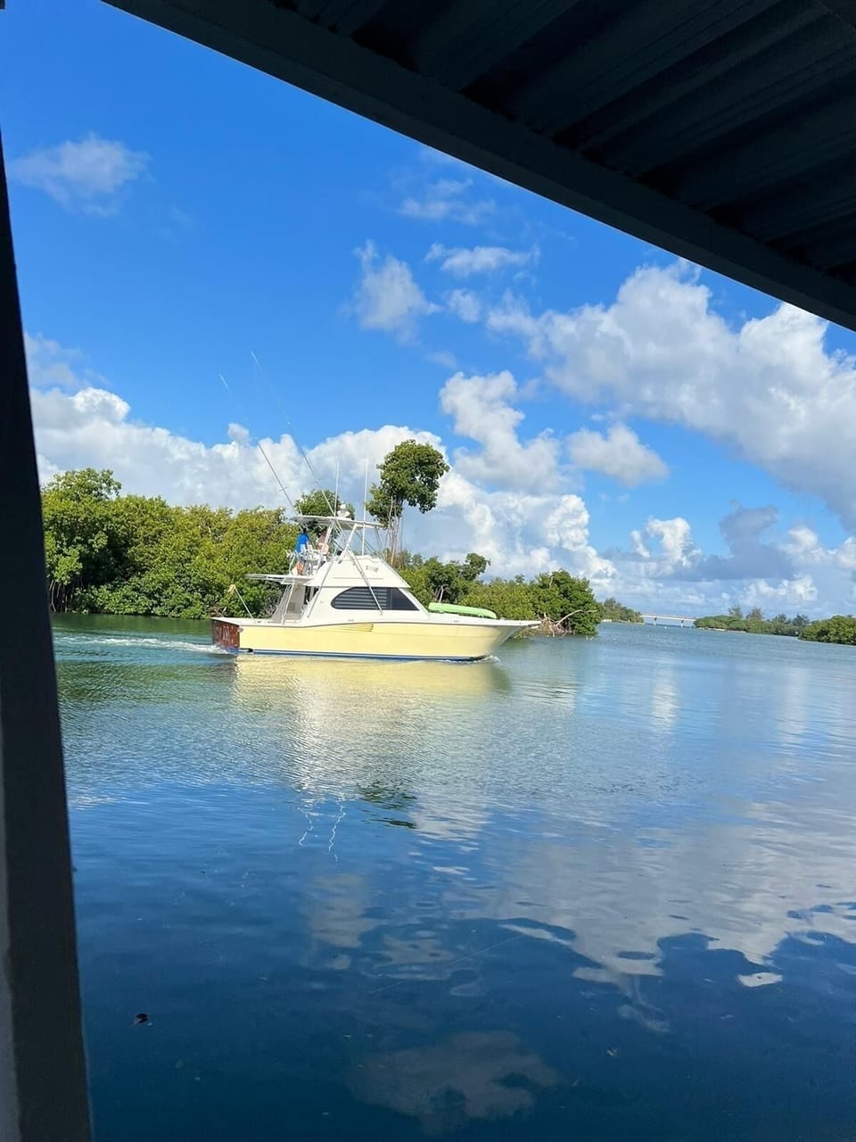 View from property
