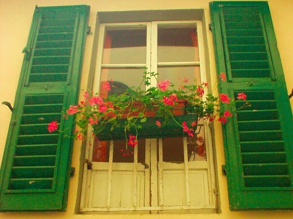Flowers at the balcony
