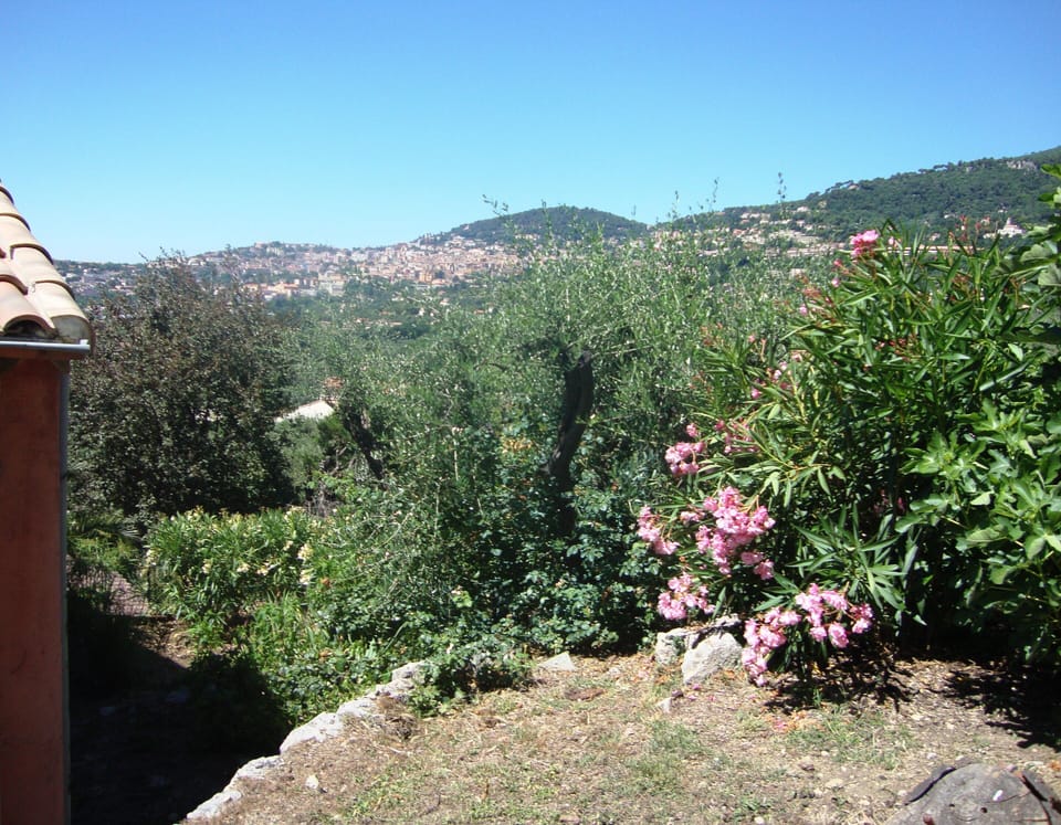 View of the countryside and the historic town of Grasse