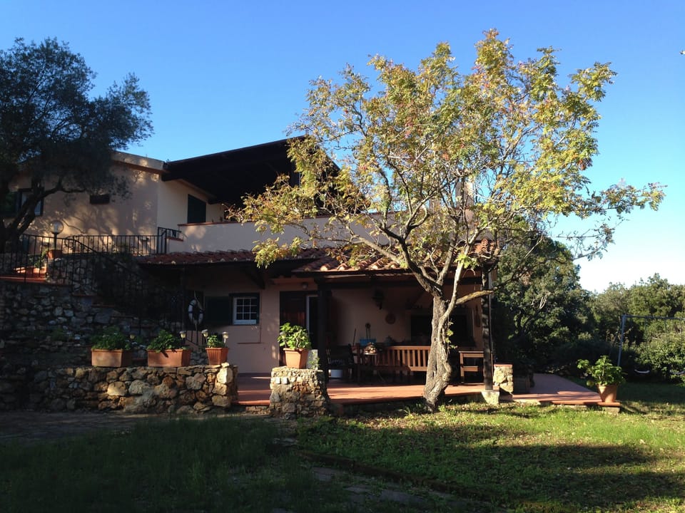 View of the South side 