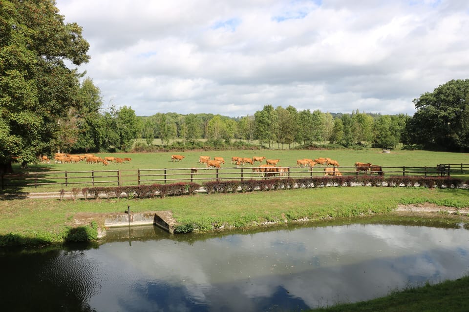 View from the dining room