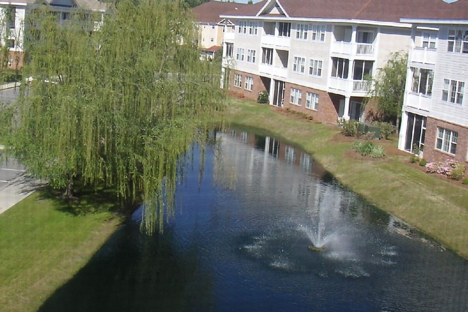 View of pond as seen from master bedroom window