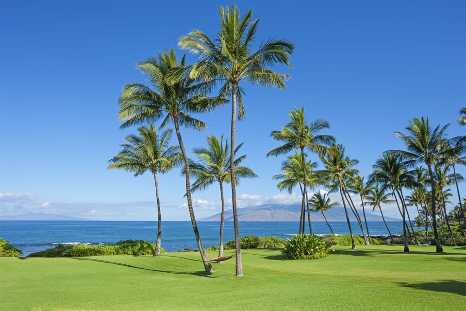 Looking Out Across the Expansive Beach Side Property of Wailea Sunset Estate