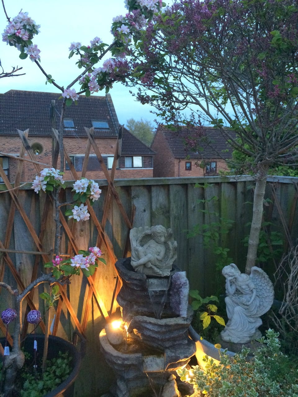 Our terrace angels.
