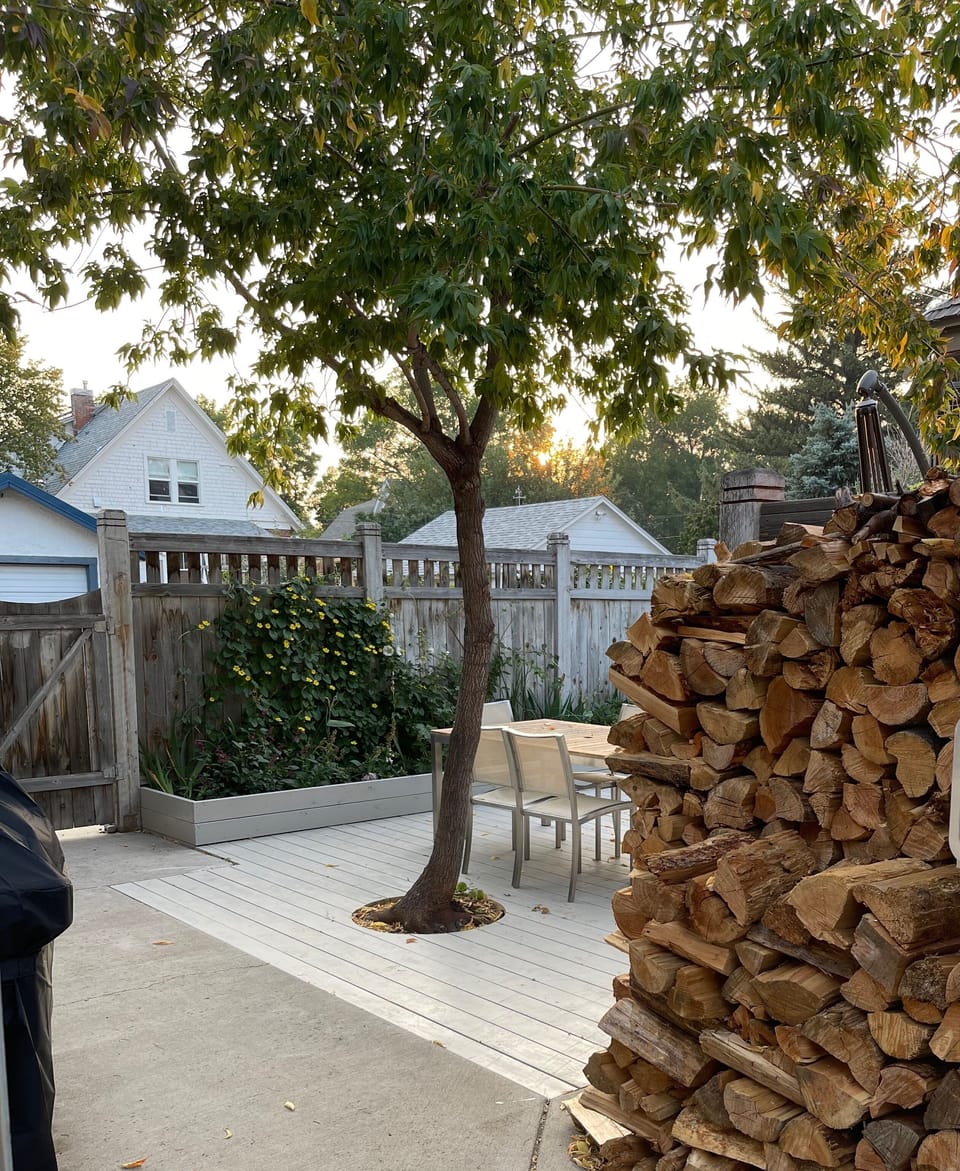 Plenty of firewood for the cozy designer Danish Rais Wood Stove. 