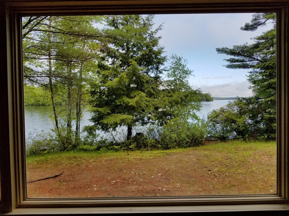View out picture window from dining room table