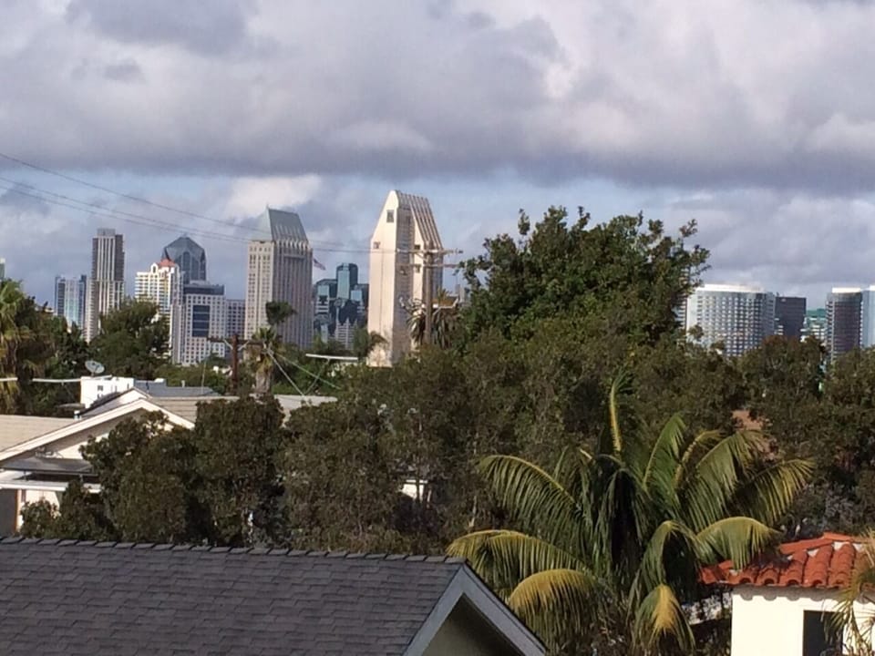 View of Downtown San Diego from Loft