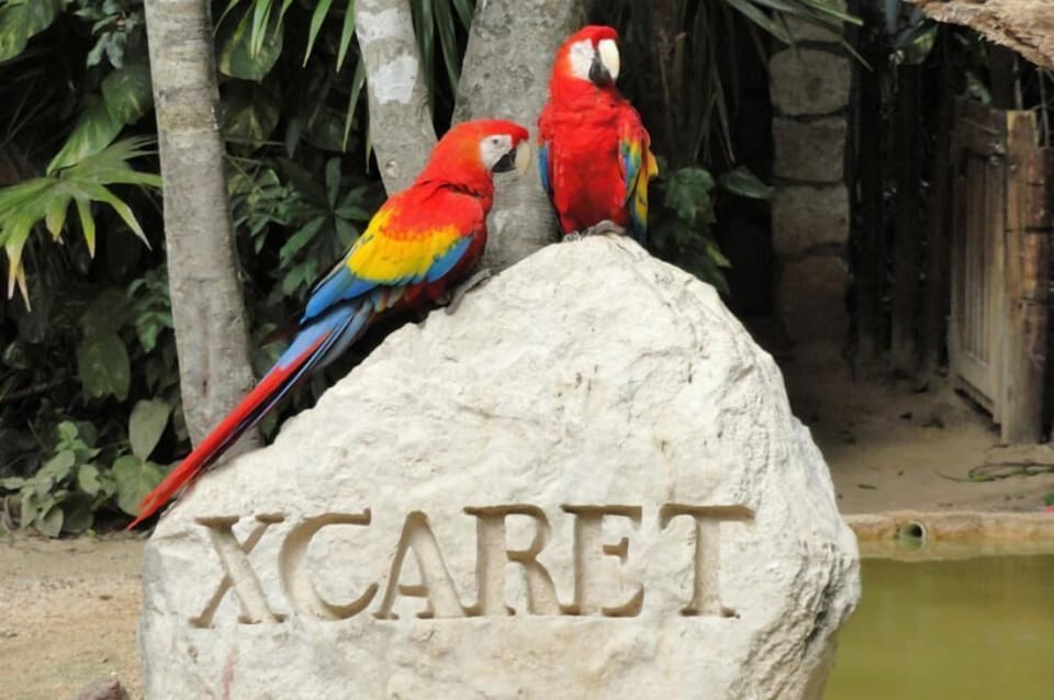 Don't miss Xcaret.
