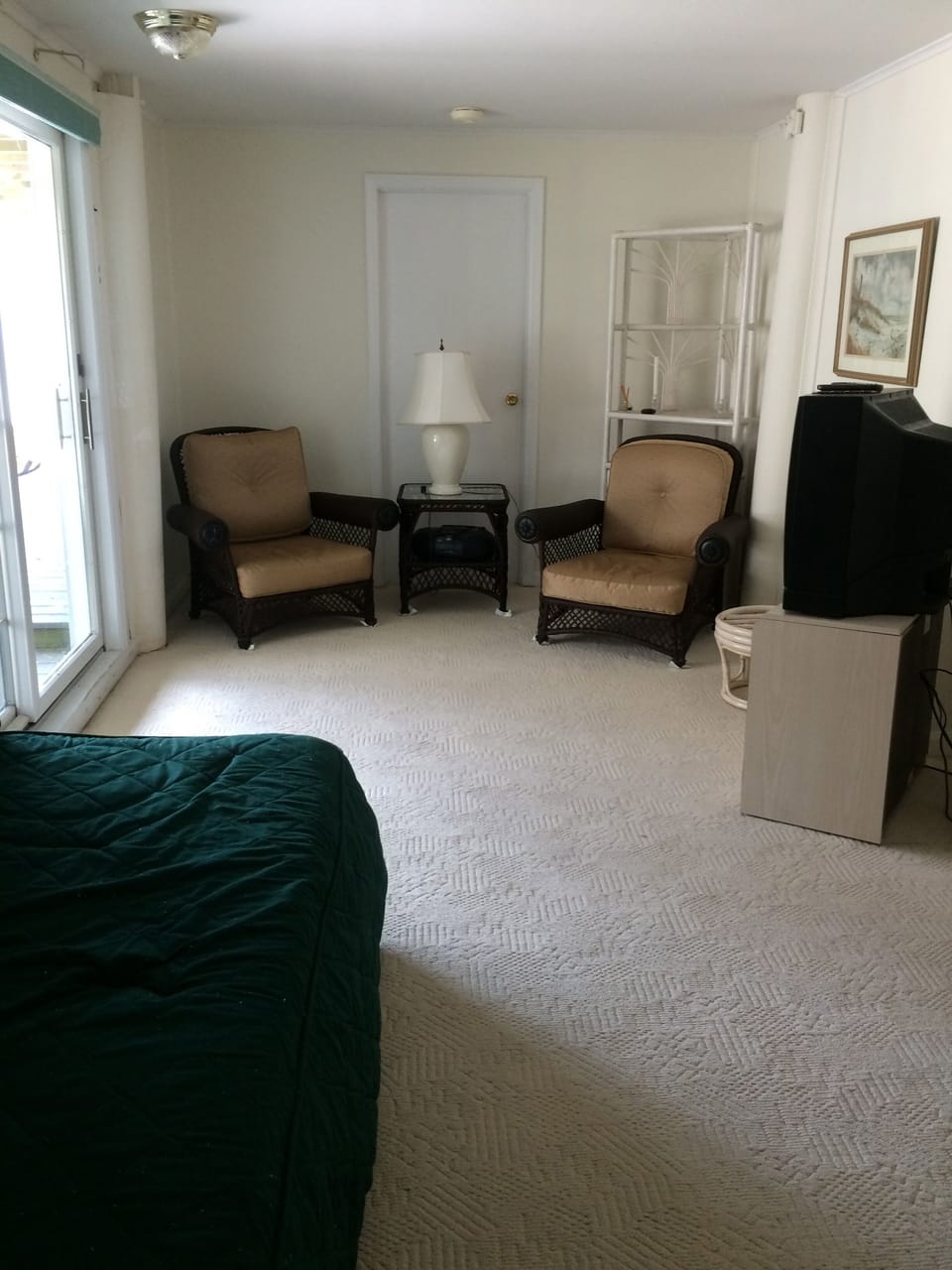 downstairs living room