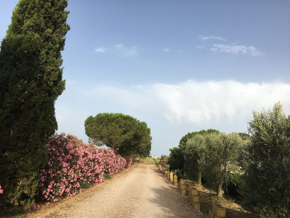 VILLA DANTE AD UN PASSO DAL MONDO!!!! House in Tuscany