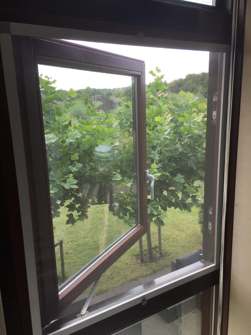 New insect screens on 1st floor
