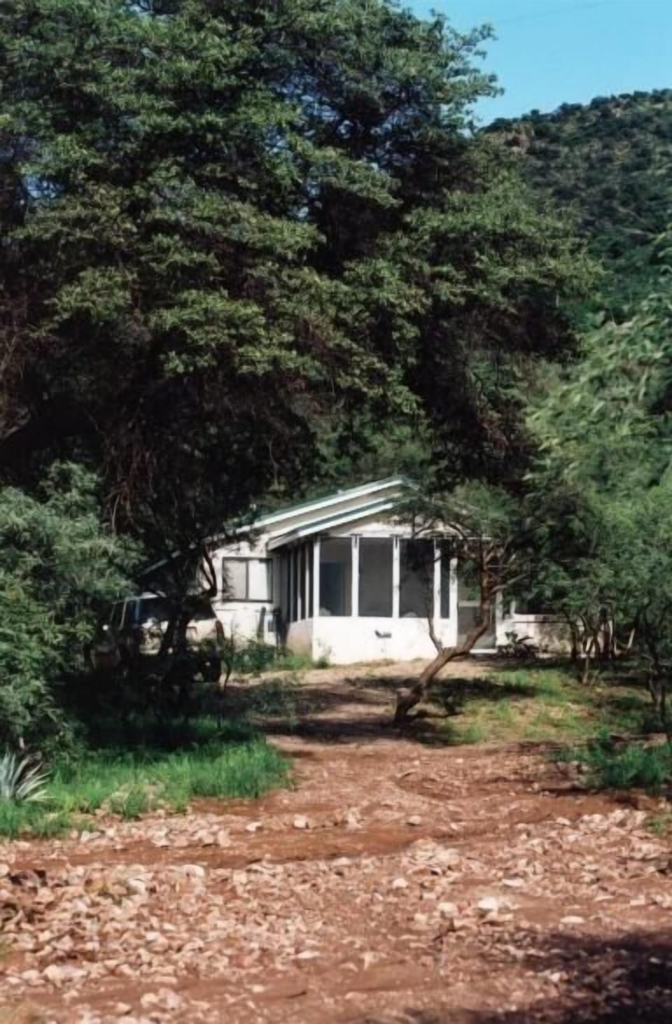 Back of house. Monsoon season, very lush. A storm had just washed out my drive.