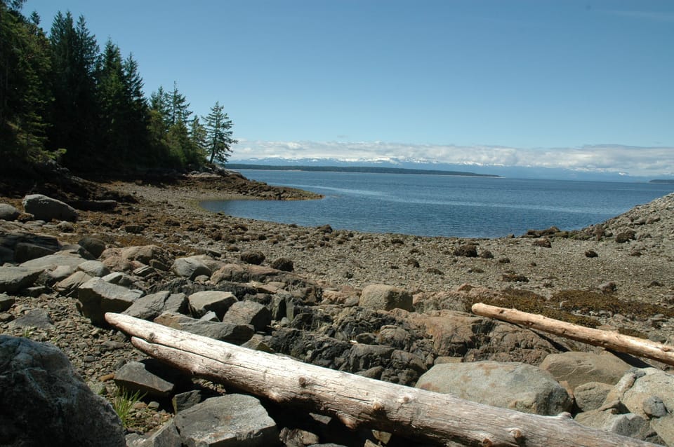 The bay at low tide.