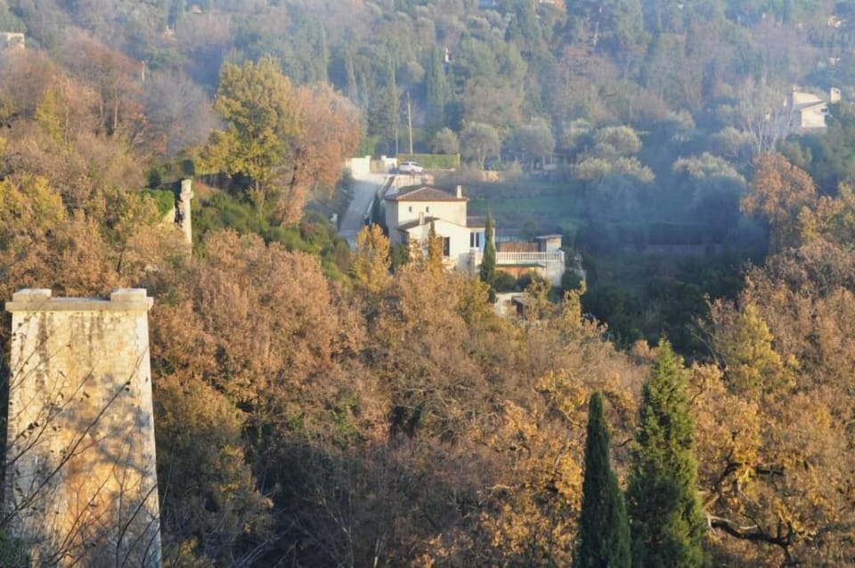 Overview