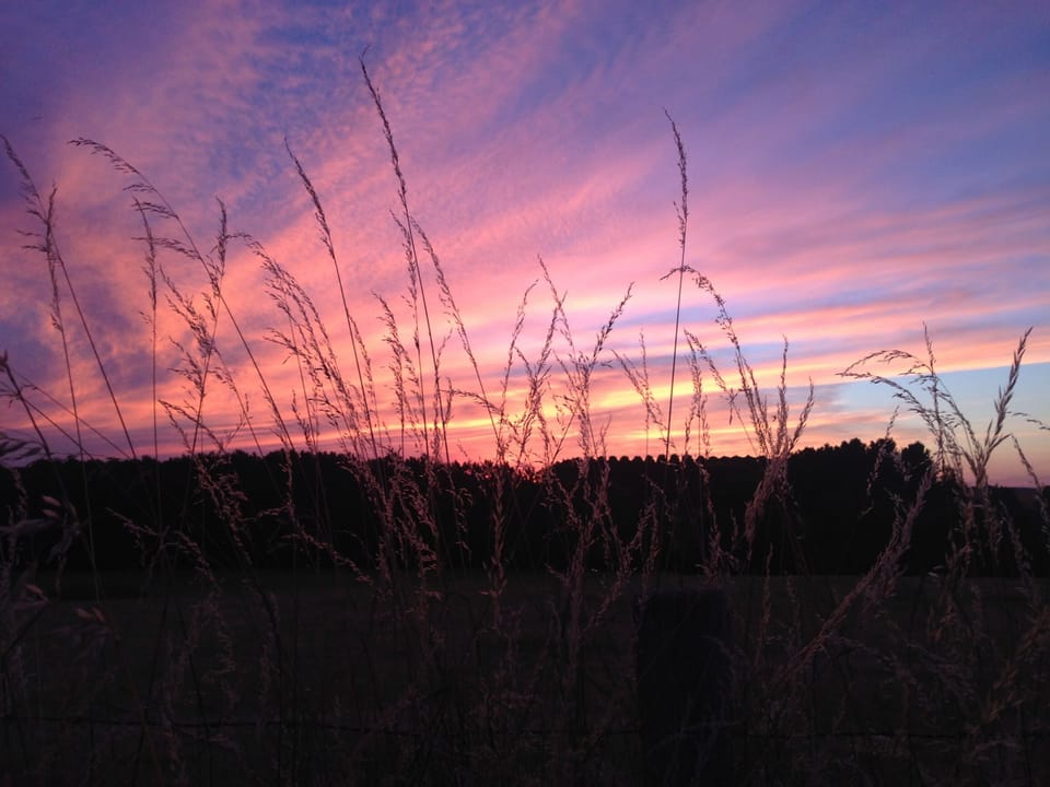 enjoy the colorful sunsets!