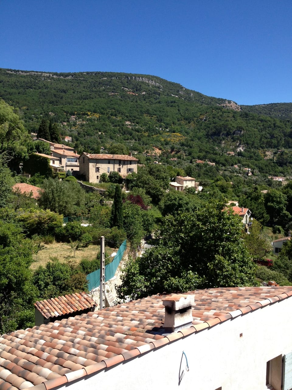 View from terrace