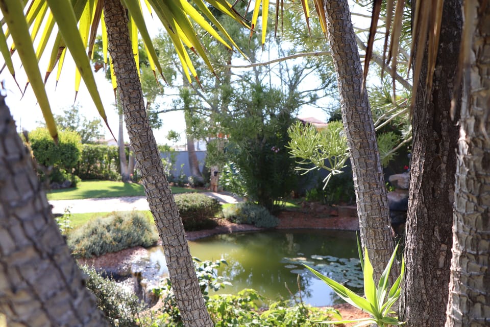 lake garden in the entrance
