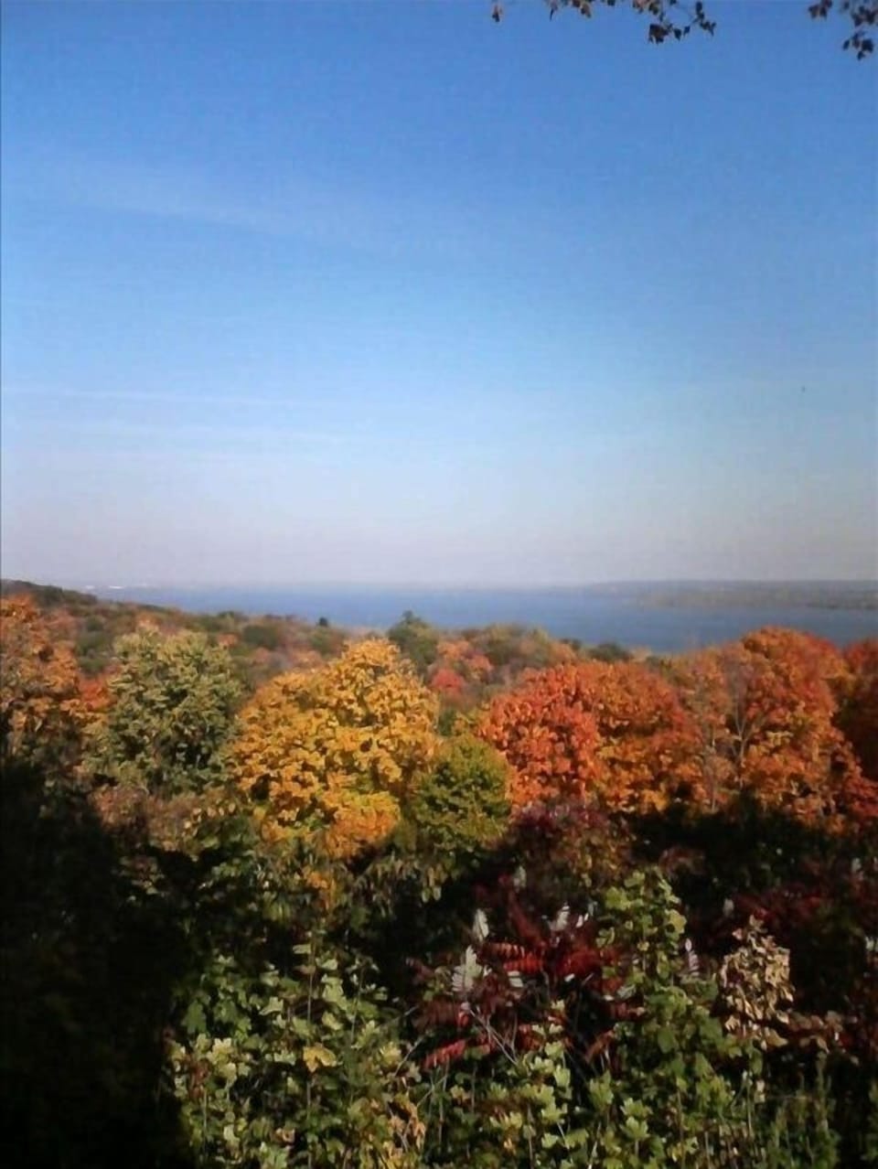 The changing colors of the leaves is AWESOME in the fall! come join the fun!!