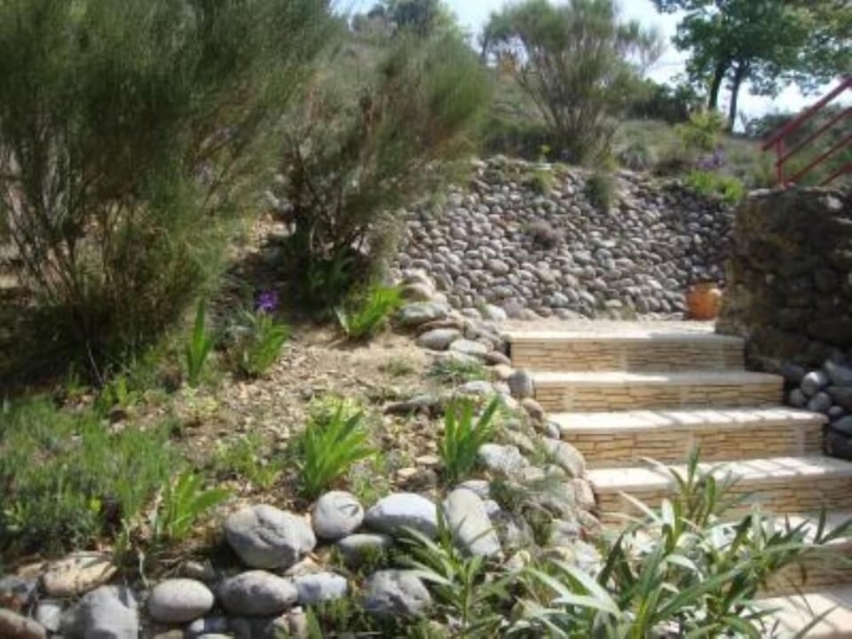 Garden, Park
