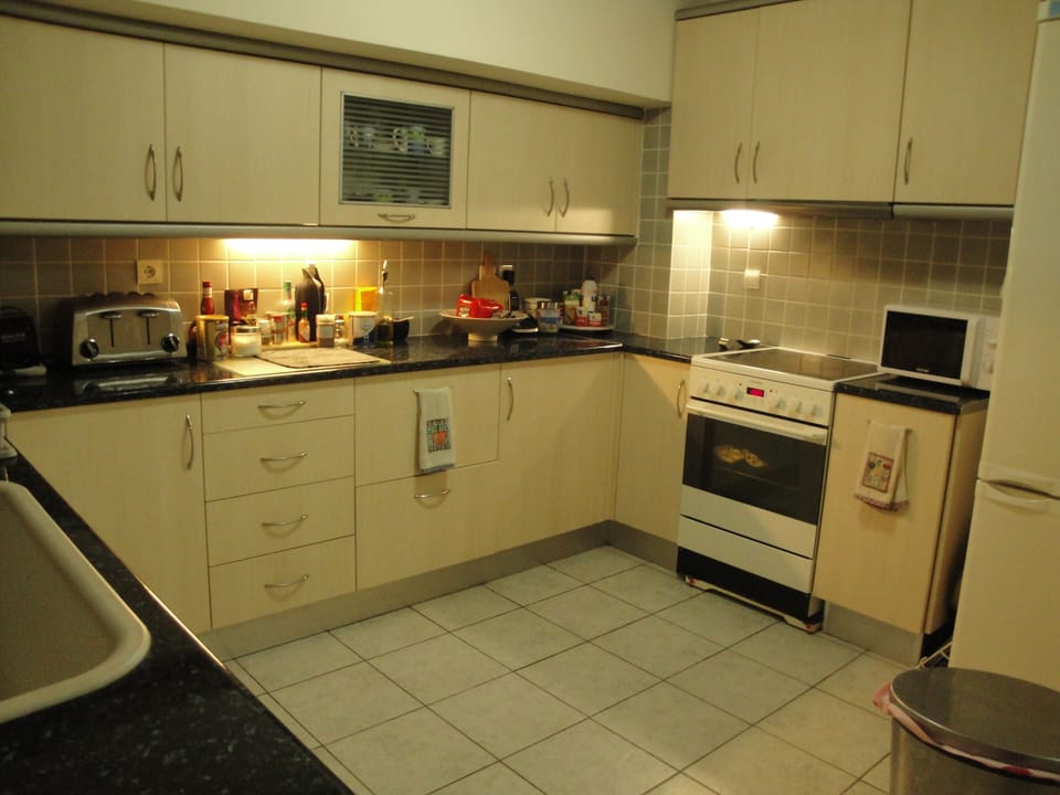 Kitchen with all necessary amenities including dishwasher and large refrigerator 