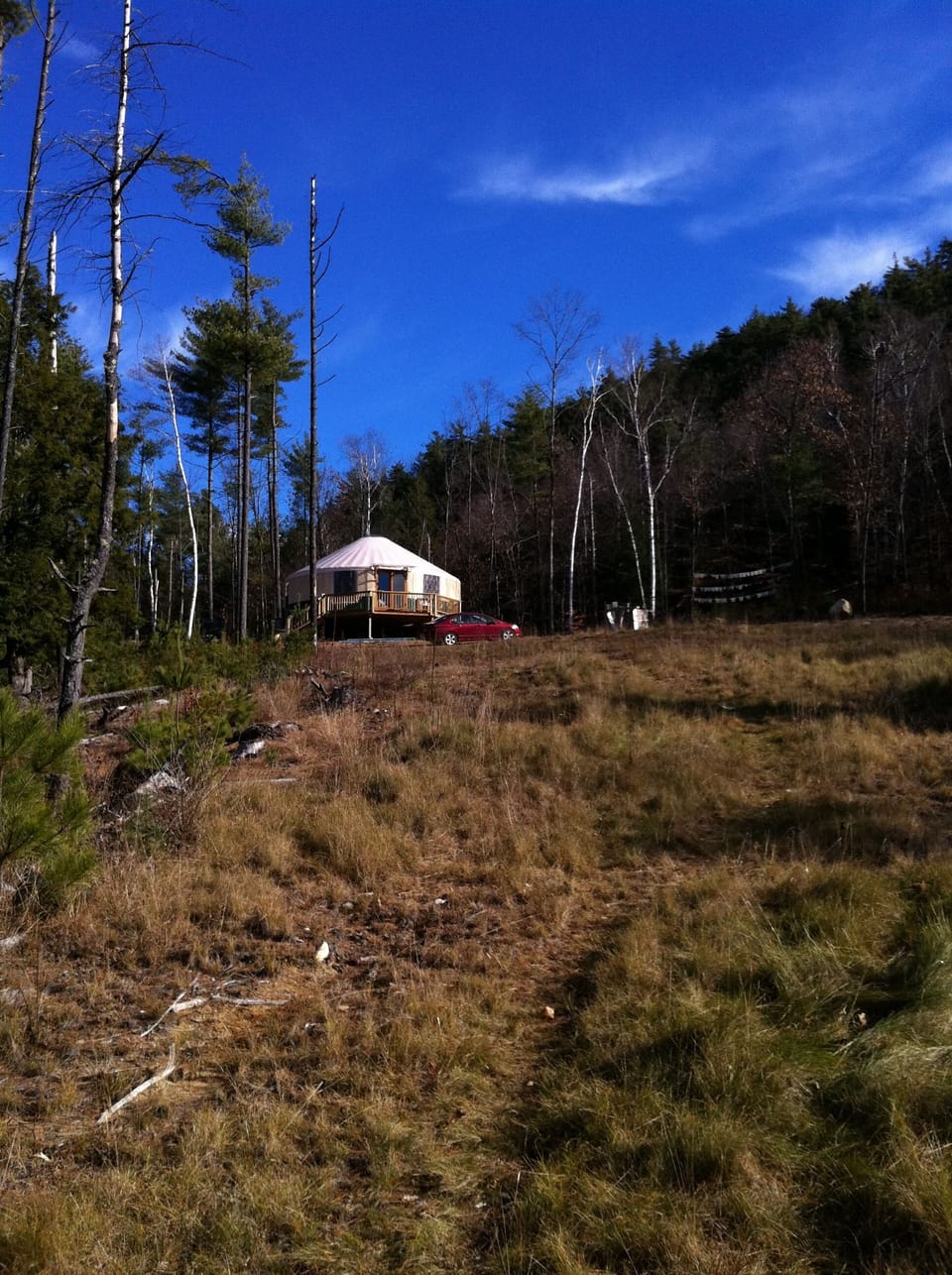 View from the lower property