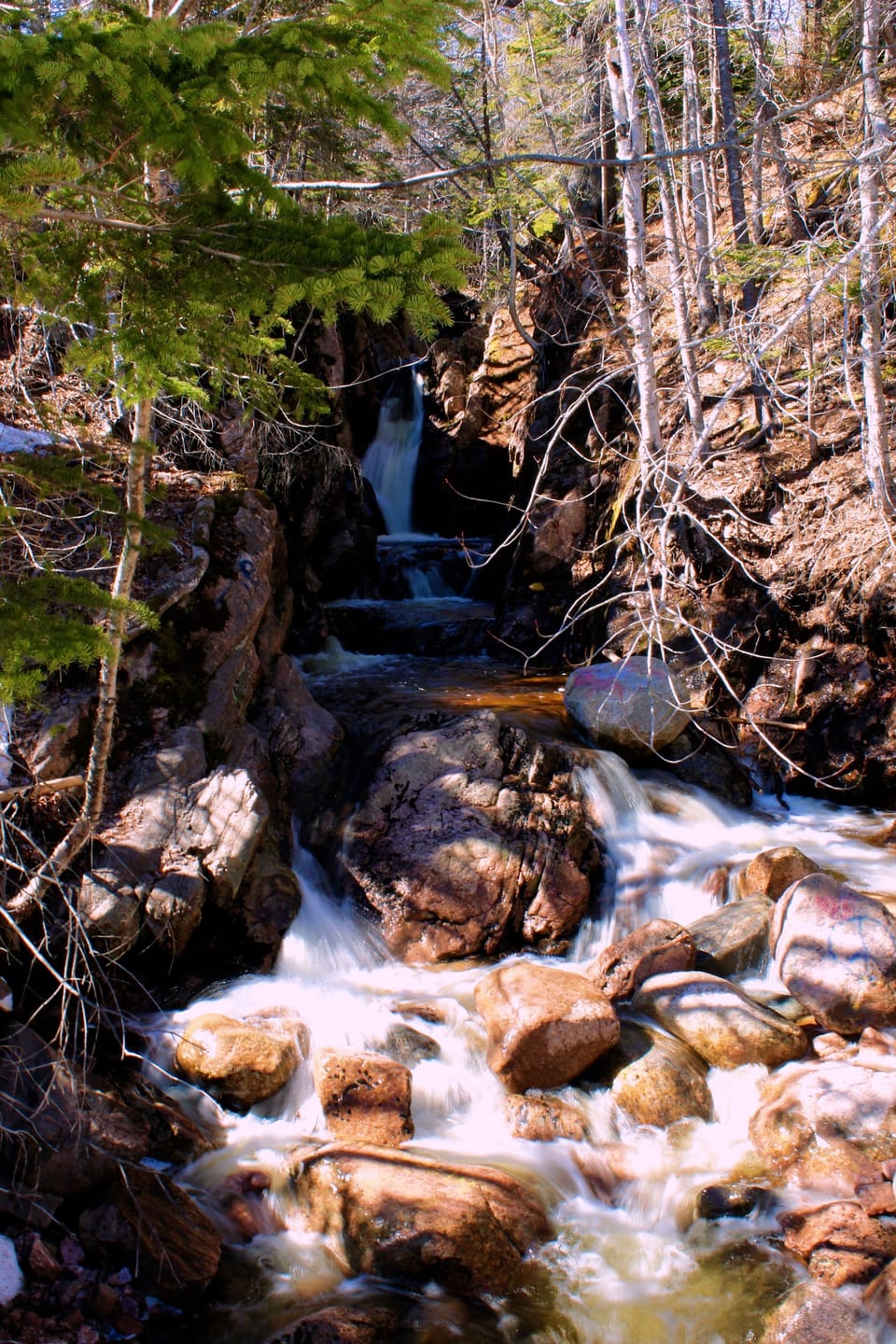 Arm of Gold falls on the New Campbellton Road 