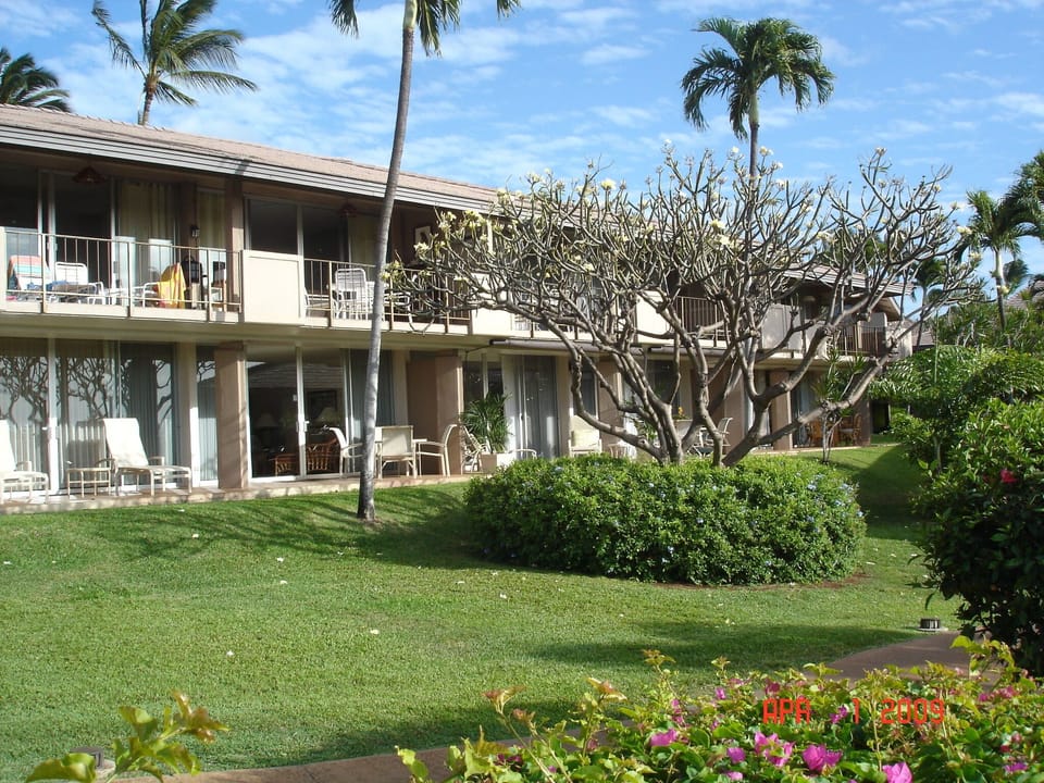View from Pool to Ground Floor Lanai. Unit is Behind Tall Tree Left of Center