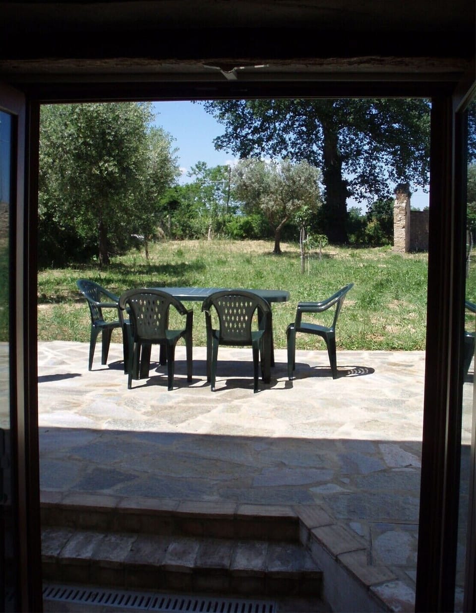 View from the back door