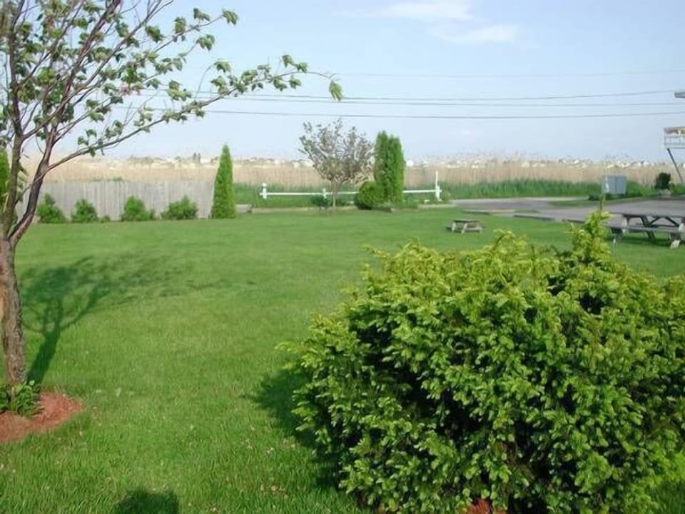 Overlooking the green space at our condo