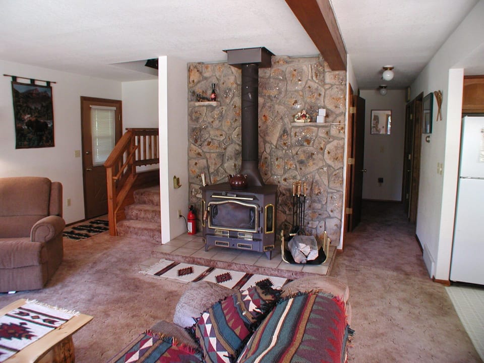 Wood burning fireplace 