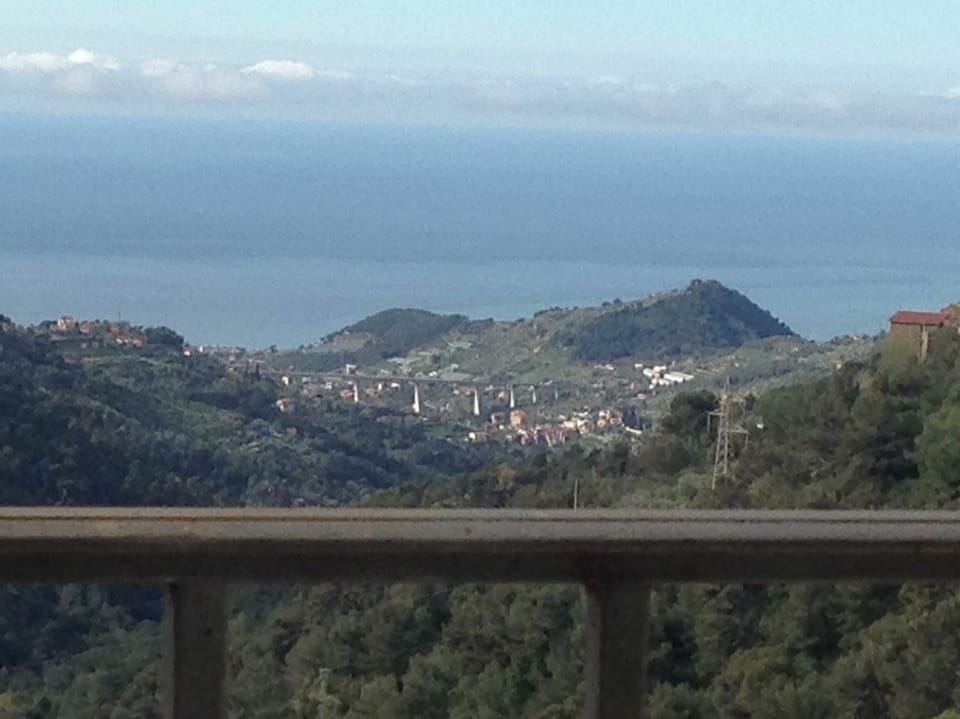 view from windows and terrace