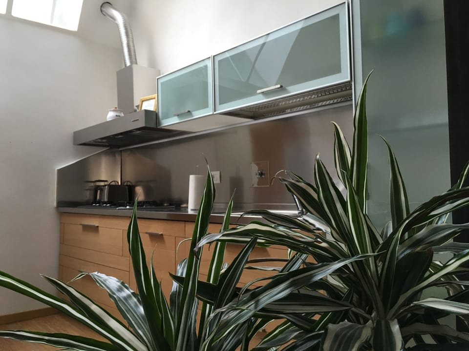 the kitchen