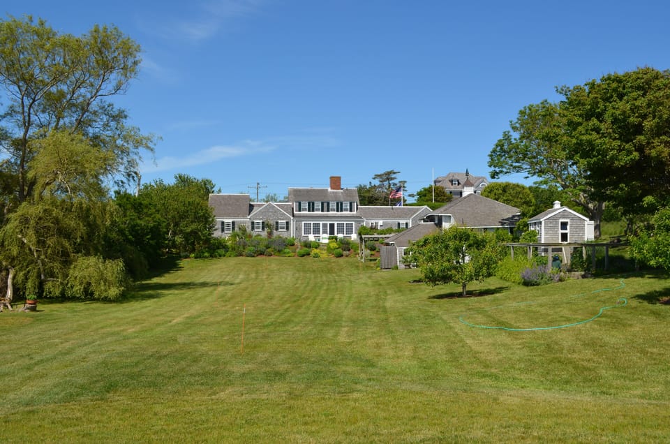 back yard